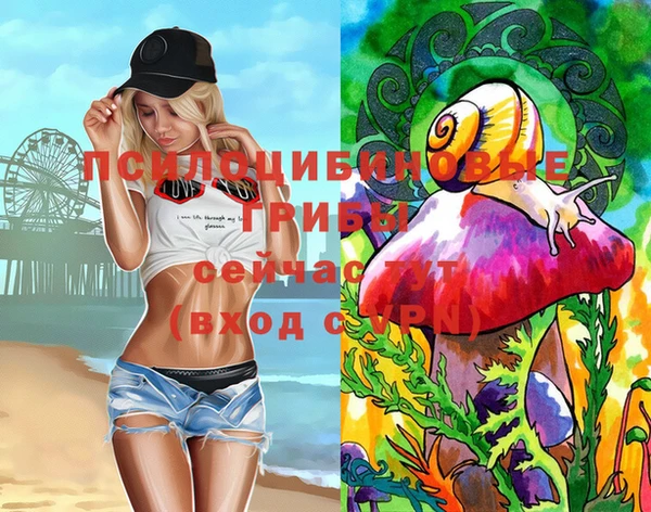 тгк Алзамай