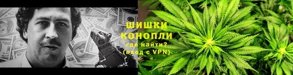 ПСИЛОЦИБИНОВЫЕ ГРИБЫ Алексеевка
