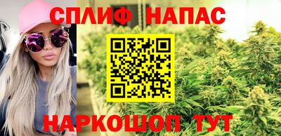 мяу мяу мука Бердск