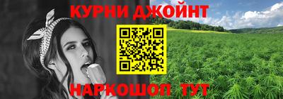 крисы Белореченск